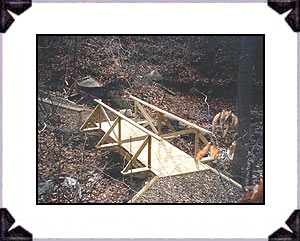 New construction of a bridge and trail to the Psyche Spring site. The Psyche Spring was cleaned and restored in 2003 along with the new trail and bridge.