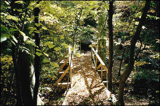 New bridge leading to the King David Spring that was restored in 2002-03.