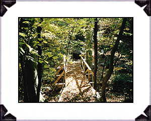 New bridge leading to the King David Spring that was restored in 2002-03.