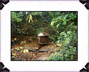 One of the nineteen Springs that have been found at the Eastman Springs Site; this one is a neighbor to the Colonel's Own Spring but is yet unidentified by name.