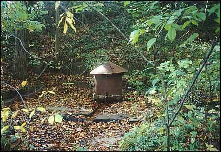 One of the 19 Springs that have been found at the Eastman Springs Site; this one is a neighbor to the 